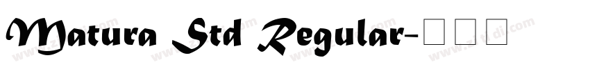 Matura Std Regular字体转换